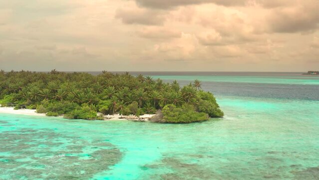 Aerial view a Tropical beach with palm trees, Thinadhoo island, Vaavu atoll, Maldives.
