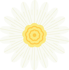 flower floral decoration clipart