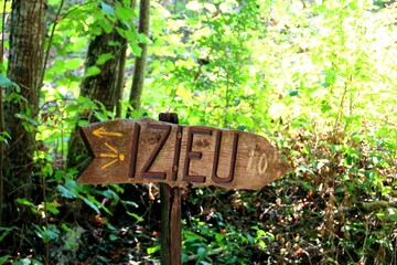 Closeup of a road sign on a wooden rod with green trees background