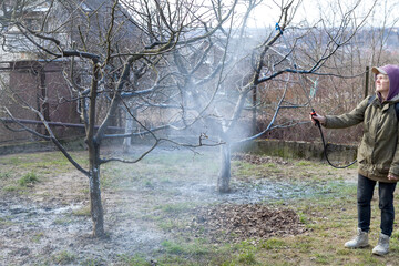 A woman works in the spring garden and spray with a rechargeable sprayer chemicals against pests and insects on a fruit tree.