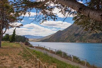 Scenery of a walkway next to the Lake Waitaki near Kurow with a Totara tree branch in the foreground