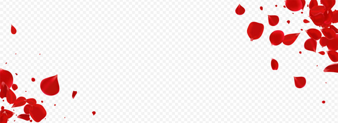 Beautiful Cherry Blur Vector Panoramic