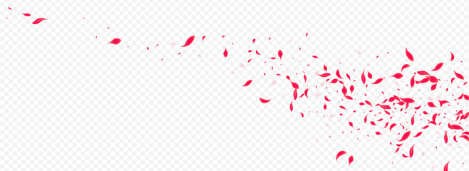 Delicate Sakura Vector Transparent Panoramic