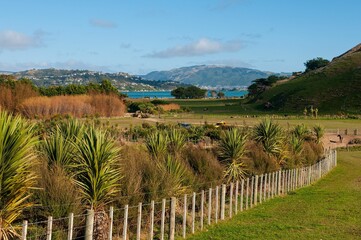 Fototapeta na wymiar Grassy field with a fence against the blue sky in New Zealand, Porirua City