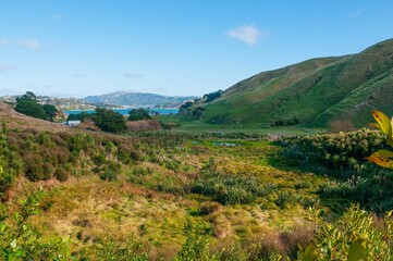 Fototapeta na wymiar Beautiful view of a valley with a lake in the distance in New Zealand, Porirua City near Wellington
