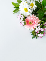 dianthus, gerbera, chamomile, laur. floral a frame