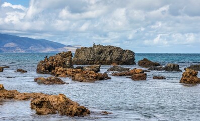 Scenic Breaker Bay with the Orongoronga Mountains in the background in Wellington, New Zealand