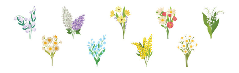 Obraz na płótnie Canvas Meadow Flower Blossom with Stems Bouquet Vector Set