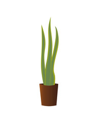 Tall Minimal Snake Plant in Brown Pot Graphic Asset