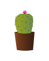 Small Bulbous Cactus with Pink Flower in Brown Pot