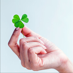 The girl holding Clovers leaves on white background. The symbolic of Clover the first is for faith, the second is for hope, the third is for love.