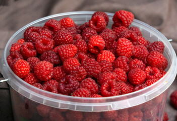 Fresh red raspberries close-up.Beautiful harvest.