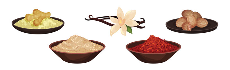 Different Spices and Condiments with Ginger, Vanilla Stick, Chili Pepper in Bowl and Nutmeg Vector Set