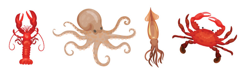 Seafood and Marine Delicacy with Lobster, Crab, Squid and Octopus Vector Set © Happypictures