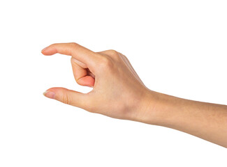 Hand holding something on a transparent background