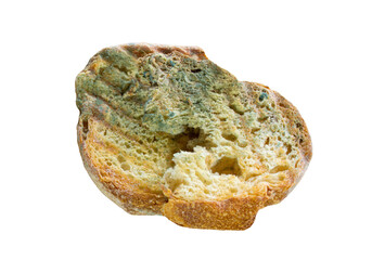 Moldy bread slice on a transparent background