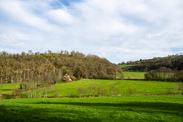 Fototapeta na wymiar Hilly terrain with green meadows and trees in France.