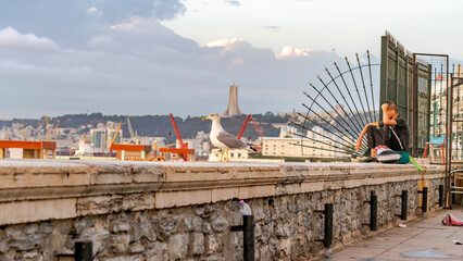 Fototapeta premium Unrecognizable man sitting next to a seagull on the edge of the seafront balcony on Zighoud Youcef Boulevard. The Martyr's memorial monument and a cloudy sky in background