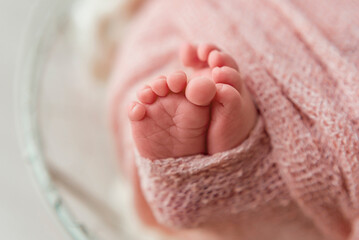 newborn feet