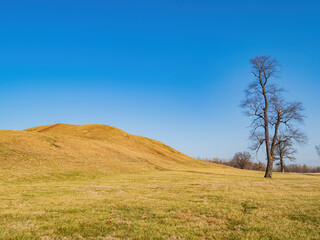 Fototapeta premium Sunny view of the Cahokia Mounds State Historic Site