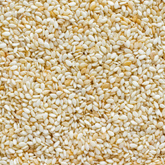White sesame seeds can be used as a background