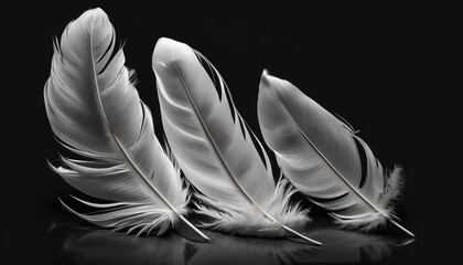 white feathers, beautiful wallpaper. generative ai
