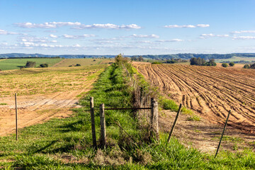 View of a peanut plantation on a farm in the rural area in Sao Paulo state; The region is one of...