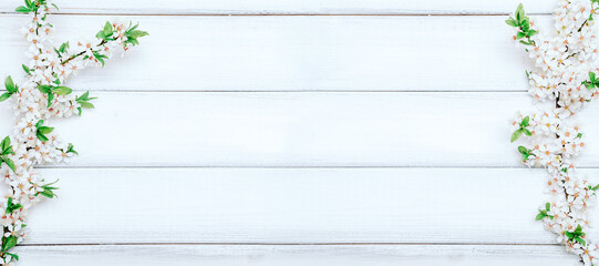 Sakura blossom flowers and may floral nature on wooden background. Branches of blossoming cherry against banner background. Copy space.