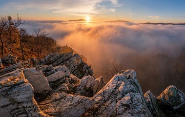 Mountains in low clouds at sunrise in autumn. View of mountain peaks, rocks and red trees in fog in fall. Beautiful landscape with foggy hills, forest, sunbeam. View from above of mountain valley