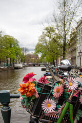 Bicycles with flowers in the basket on a bridge in Amsterdam