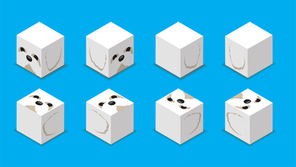 Obraz premium Animal Dice 3D Character Animal Maltese Dog Cartoon Vector