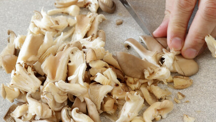  champignons pleurotes coupés au couteau en gros plan