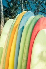 Set of different color surfboards on sandy beach seacoast in Sri Lanka. Vertical format.