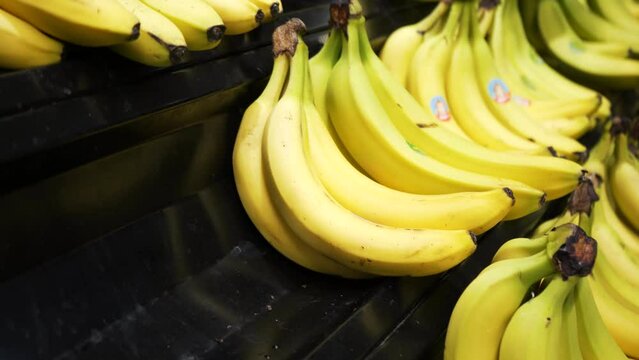 Ripe yellow bananas on the rack of an agricultural store. Collection, storage and sale of products. Bananas circles. The concept of a healthy diet.