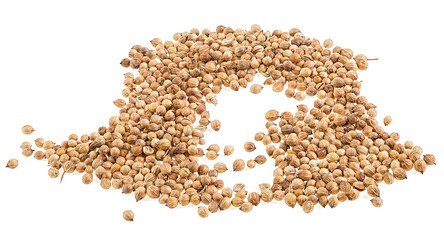 Coriander seeds isolated on a white background, front view. Coriandrum sativum.