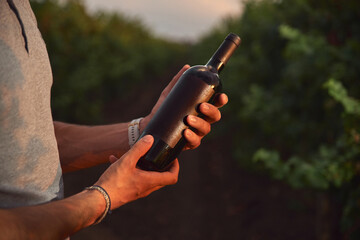 Men hand with black bottle of wine.Vineyard background of sunset and free space for your decoration.
