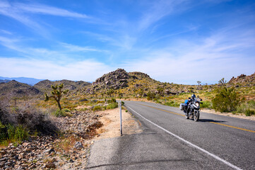 Motorbike riding through the Joshua Tree National Park on sunny day, California, USA. 