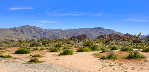Mojave Desert panorama, California