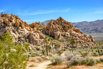Fototapeta na wymiar Joshua Tree National Park, Mojave Desert, California, USA
