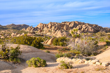 Joshua Tree National Park, Mojave Desert, California