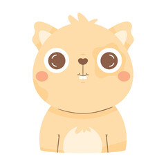 cute squirrel animal