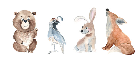 Set of cute woodland animals. Bear, quail, bunny and fox isolated on white background. Watercolor hand drawn illustration.