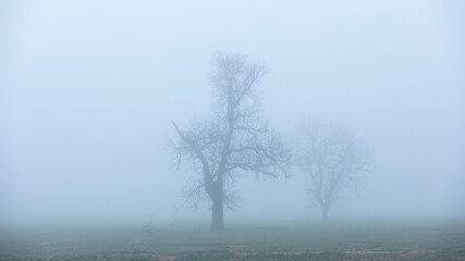Rural scenic view during a foggy street morning day.   Winter season.