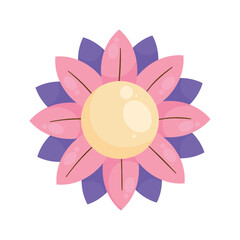 pink and purple flower