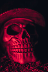 skull in the dark