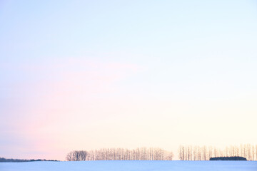 Obraz premium 冬の朝の空