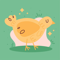 little chick farm animal