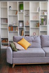 modern living room interior with sofa and bookshelf