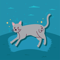 cute little gray cat