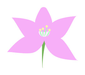 orchid colored icon illustration design art